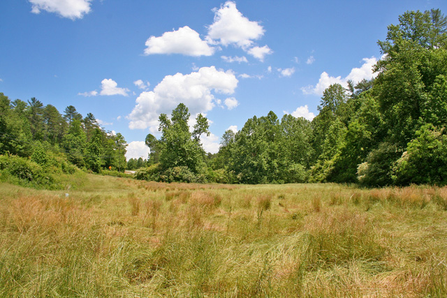 pastureland for sale Dahlonega